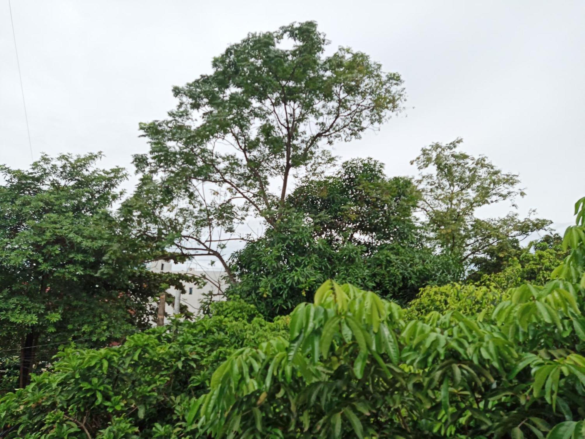 Green Space Homestay Ninh Bình Exteriör bild