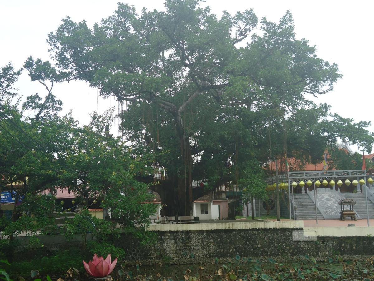 Green Space Homestay Ninh Bình Exteriör bild