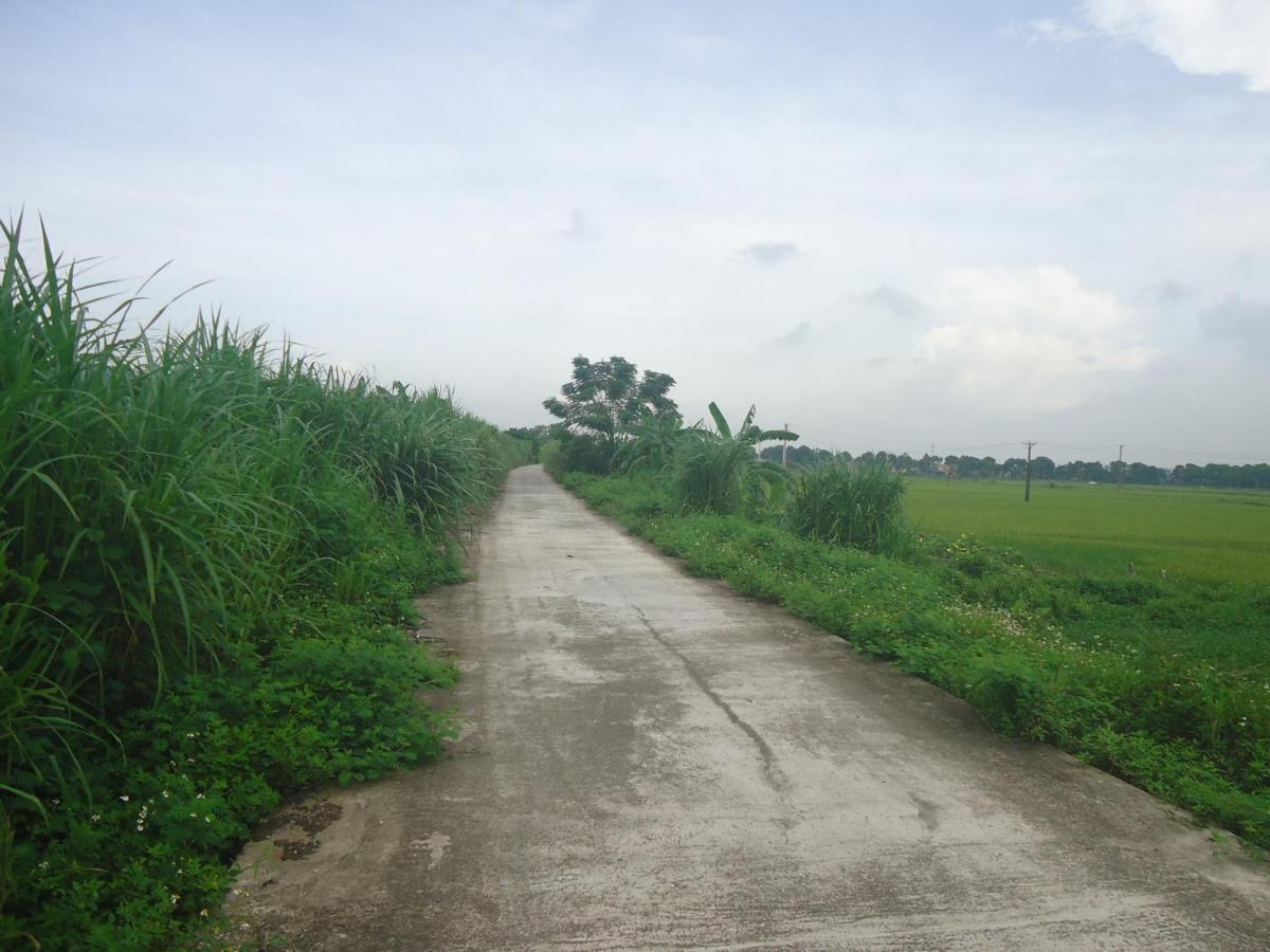 Green Space Homestay Ninh Bình Exteriör bild