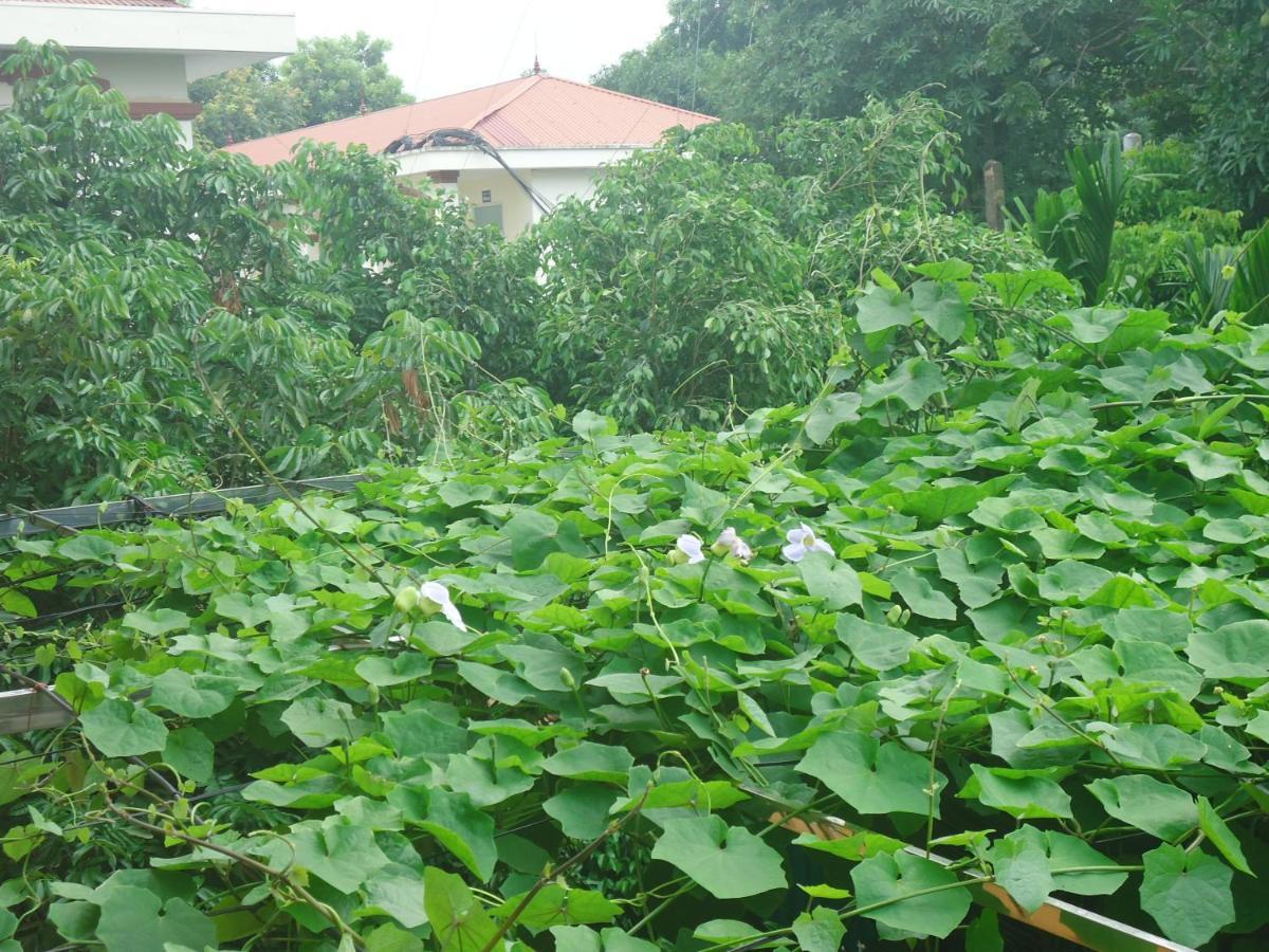 Green Space Homestay Ninh Bình Exteriör bild