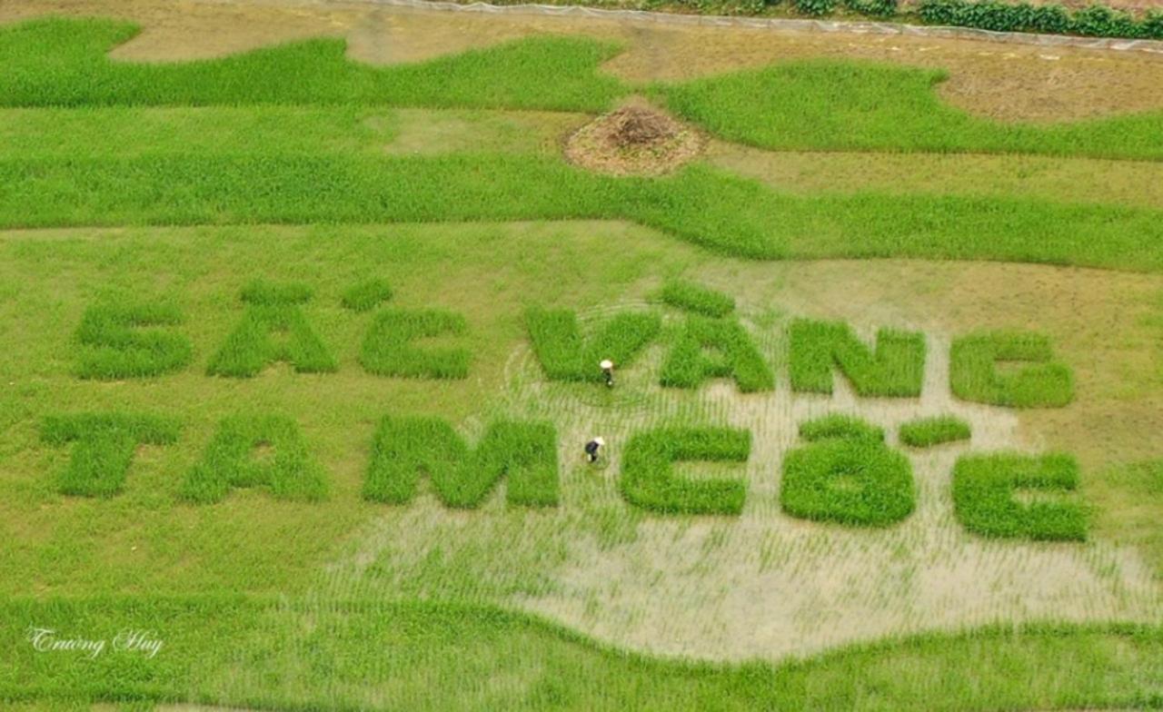 Green Space Homestay Ninh Bình Exteriör bild