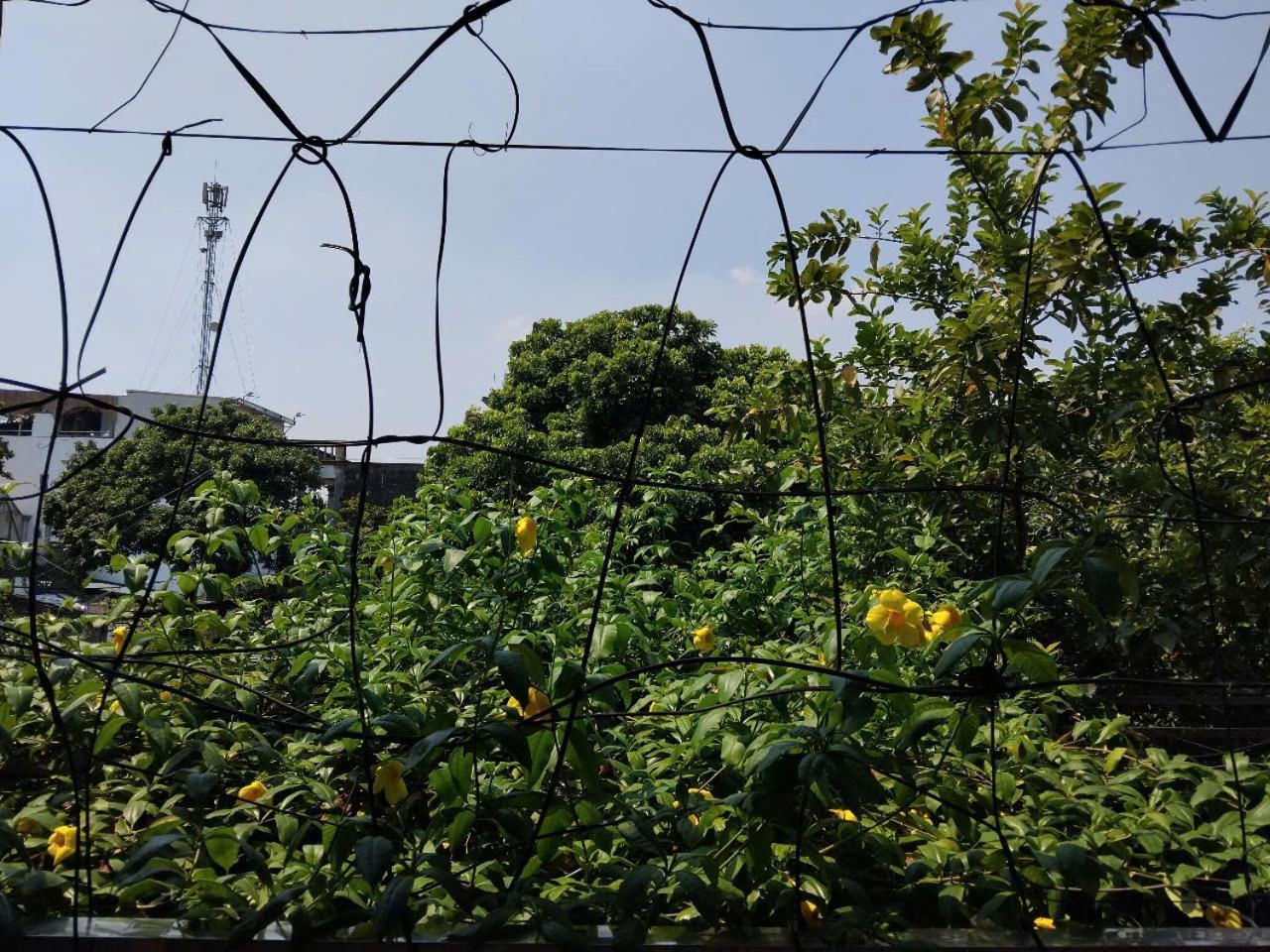 Green Space Homestay Ninh Bình Exteriör bild
